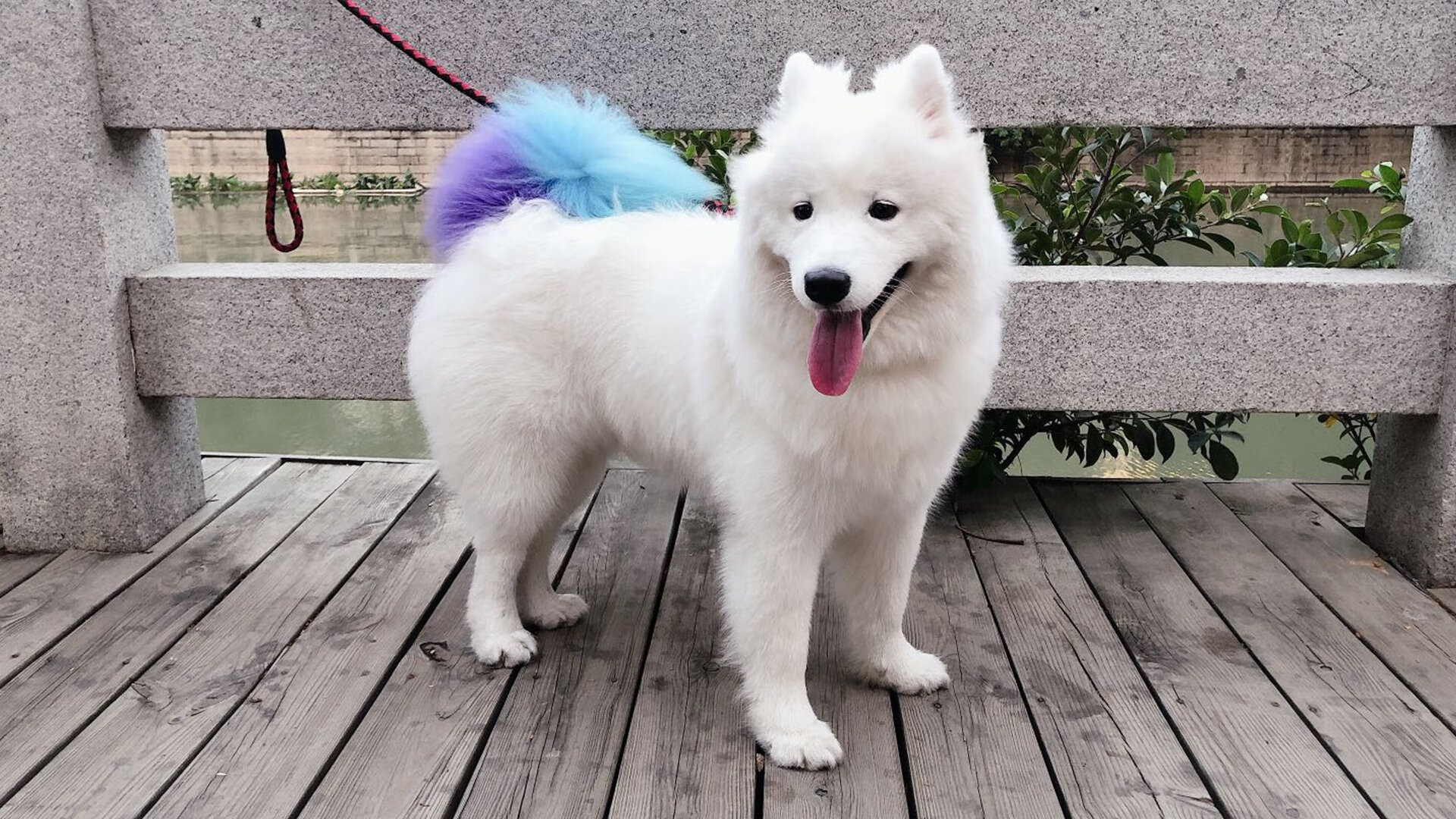 布鲁诺·卡博克洛在巴黎奥运会小组赛中展现全面技术，布鲁诺-卡波科洛