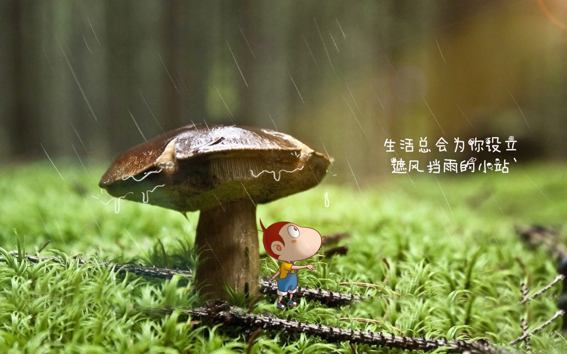 爱游戏多端接入-【大谷翔平的两栖奇迹】投打两端引领联盟风潮，大谷翔平个人资料