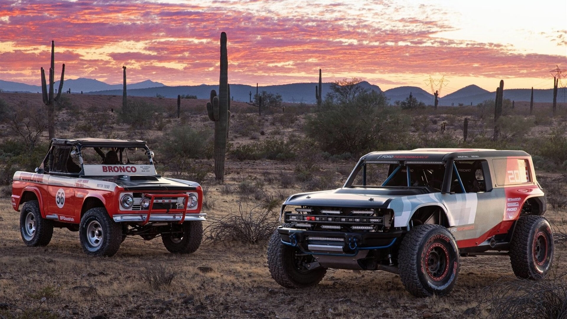 全民健身:全民参与,打造健康生活新方式,全民健身,下一句是什么