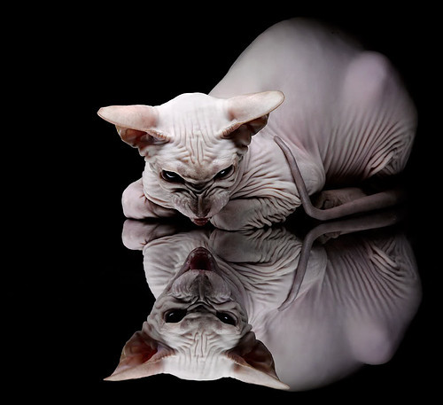 勇士在季后赛中逆境反击,库里超级三分带队成功翻盘!,勇士库里得分王